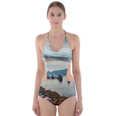 Ducks On Gardasee Cut-out One Piece Swimsuit by ConteMonfrey