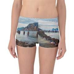 Ducks On Gardasee Boyleg Bikini Bottoms by ConteMonfrey