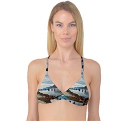 Ducks On Gardasee Reversible Tri Bikini Top by ConteMonfrey