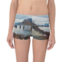 Ducks On Gardasee Reversible Boyleg Bikini Bottoms by ConteMonfrey