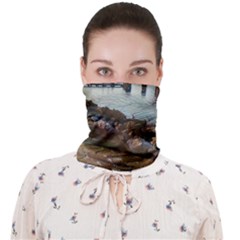 Ducks On Gardasee Face Covering Bandana (adult) by ConteMonfrey