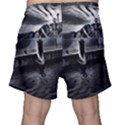 Smokey pier Men s Shorts View2