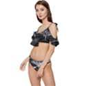 Smokey pier Ruffle Edge Tie Up Bikini Set	 View2