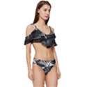 Smokey pier Ruffle Edge Tie Up Bikini Set	 View3