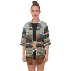 Calm Day On Lake Garda Open Front Chiffon Kimono