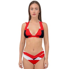 Erzya Flag Double Strap Halter Bikini Set by tony4urban