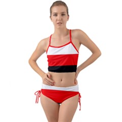 Erzya Flag Mini Tank Bikini Set by tony4urban