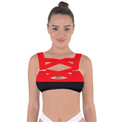 Erzya Flag Bandaged Up Bikini Top by tony4urban