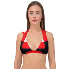 Erzya Flag Double Strap Halter Bikini Top by tony4urban