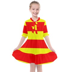 Aust Agder Flag Kids  All Frills Chiffon Dress by tony4urban