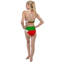 Avar People Plunging Cut Out Swimsuit View2