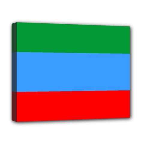 Dagestan Flag Deluxe Canvas 20  X 16  (stretched) by tony4urban