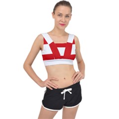 Austria V-back Sports Bra by tony4urban