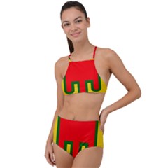 Auvergne Flag High Waist Tankini Set by tony4urban