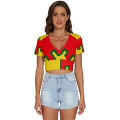 Auvergne Flag V-neck Crop Top