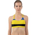 Gelderland Flag Back Web Sports Bra View1