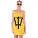 Barbados One Soulder Bodycon Dress View1