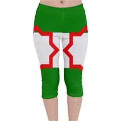 Andalusia Flag Velvet Capri Leggings  by tony4urban