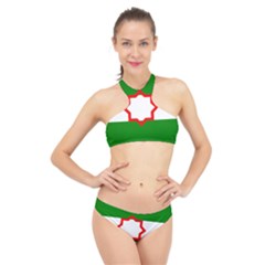 Andalusia Flag High Neck Bikini Set by tony4urban