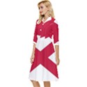 Anglo Irish Flag Classy Knee Length Dress View3