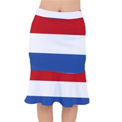 Netherlands Short Mermaid Skirt by tony4urban