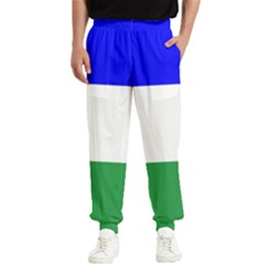 Ladinia Flag Men s Elastic Waist Pants by tony4urban