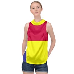 Kosicky Flag High Neck Satin Top by tony4urban