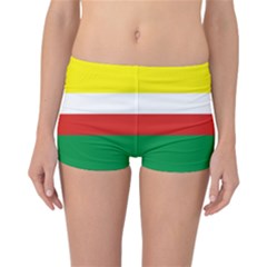 Lubuskie Flag Reversible Boyleg Bikini Bottoms