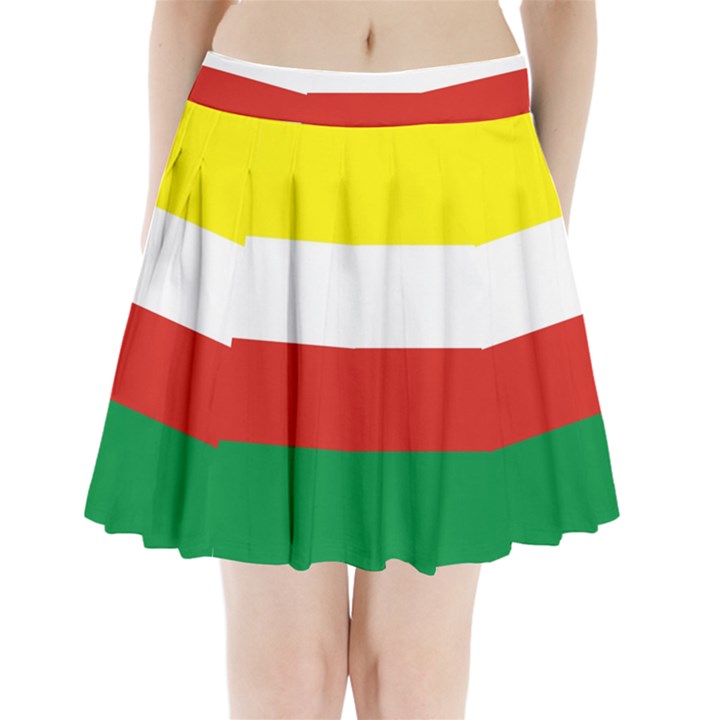 Lubuskie Flag Pleated Mini Skirt