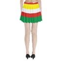 Lubuskie Flag Pleated Mini Skirt View2