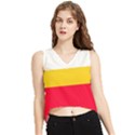 Malopolskie Flag V-Neck Cropped Tank Top View1