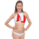 Malta Cross Front Halter Bikini Top View1