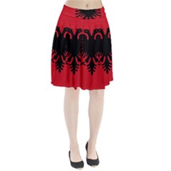 Albania Pleated Skirt by tony4urban