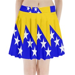 Bosnia And Herzegovina Pleated Mini Skirt by tony4urban