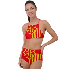 Languedoc Roussillon Flag High Waist Tankini Set by tony4urban