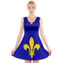 Ile De France Flag V-Neck Sleeveless Dress View1