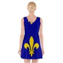 Ile De France Flag V-Neck Sleeveless Dress View2