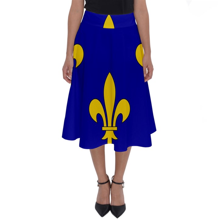 Ile De France Flag Perfect Length Midi Skirt