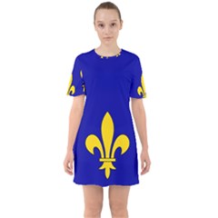 Ile De France Flag Sixties Short Sleeve Mini Dress by tony4urban