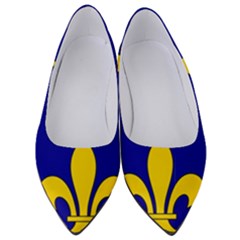 Ile De France Flag Women s Low Heels by tony4urban