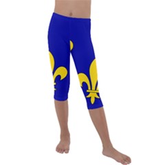 Ile De France Flag Kids  Lightweight Velour Capri Leggings 