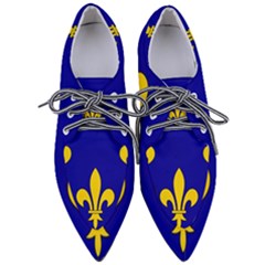 Ile De France Flag Pointed Oxford Shoes by tony4urban