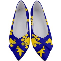 Ile De France Flag Women s Bow Heels by tony4urban