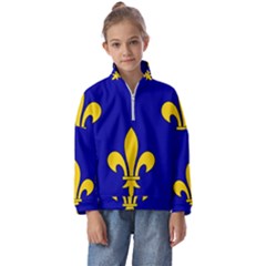 Ile De France Flag Kids  Half Zip Hoodie by tony4urban