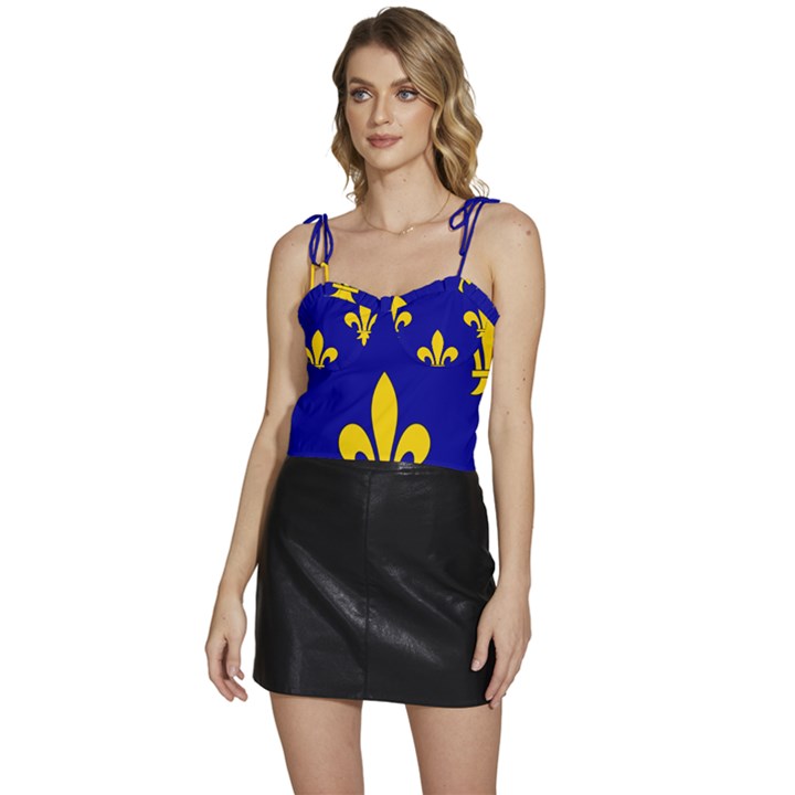 Ile De France Flag Flowy Camisole Tie Up Top