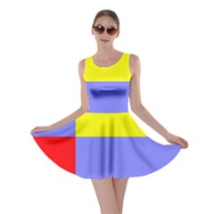 Nitriansky Flag Skater Dress