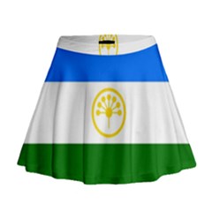 Bashkortostan Flag Mini Flare Skirt