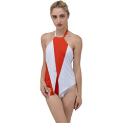 Derry Flag Go With The Flow One Piece Swimsuit by tony4urban