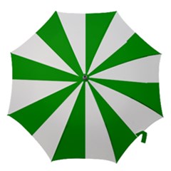 Fermanagh Flag Hook Handle Umbrellas (medium) by tony4urban