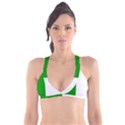 Fermanagh Flag Plunge Bikini Top View1